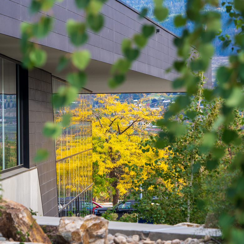 Autumn trees reflected on a building at UBC Okanagan.