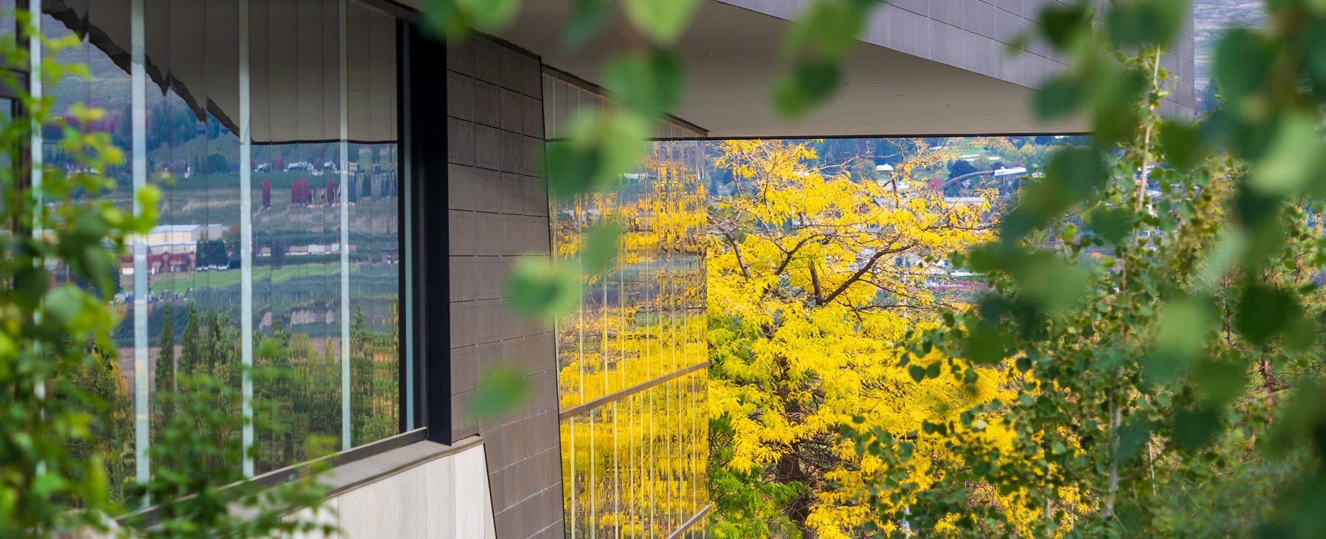 Autumn trees reflected on a building at UBC Okanagan.