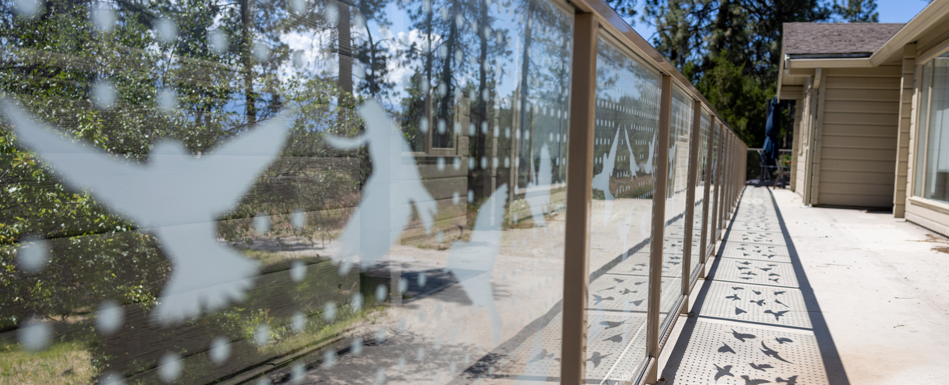 Bird-friendly decals on a window at UBC Okanagan's university house.