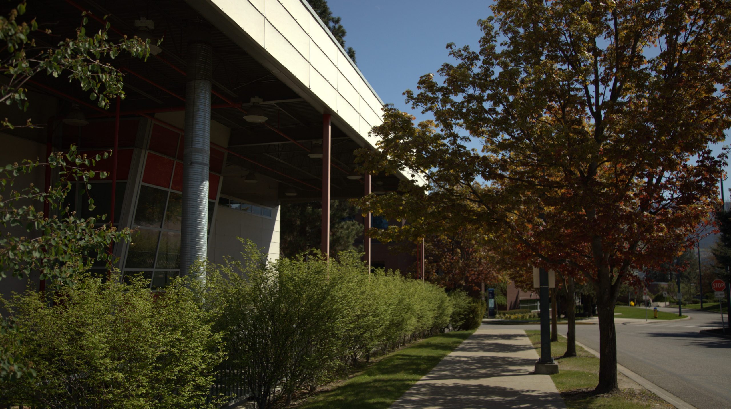Sidewalk next to CSS with spring budding trees lining the side