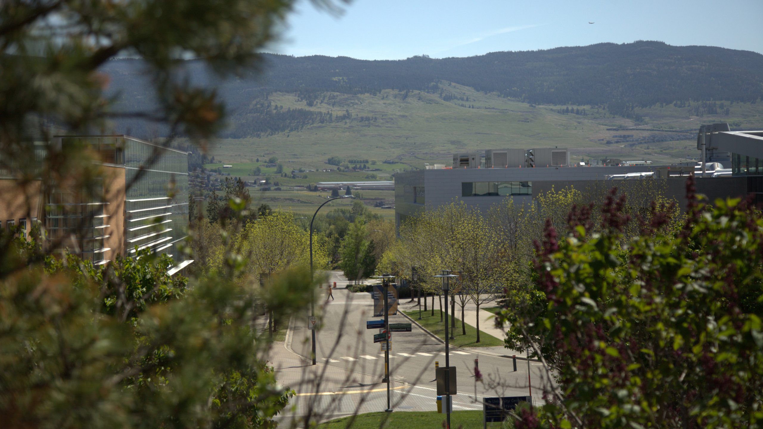 Campus view looking down University Way from student residence